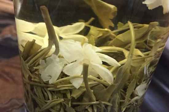 女孩喝茉莉茶的好處，茉莉茶葉的功效與禁忌