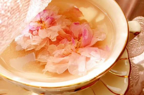 玫瑰花茶一周喝幾次，玫瑰花茶可以天天喝嗎？
