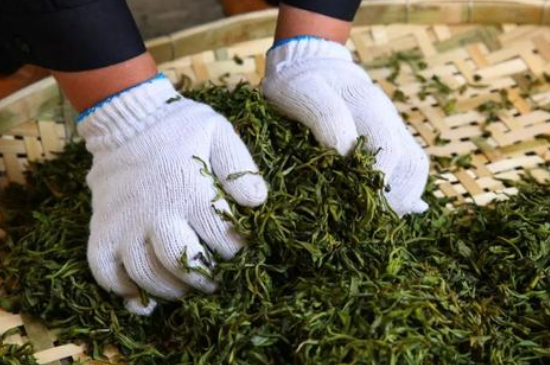 綠茶加工工藝流程圖，綠茶的加工制作包含哪幾個步驟？