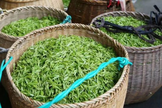 茶葉怎么炒制才香，怎樣炒茶葉更香？