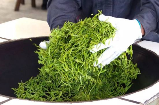 自家炒茶葉怎么炒，自己炒茶葉的步驟