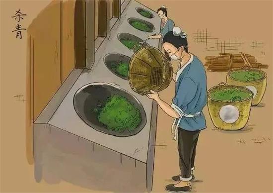 制茶八步驟，制茶工藝流程圖