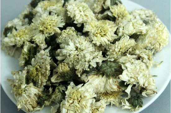 菊花茶買小朵還是大朵，泡茶用的小菊花和大菊花哪個好