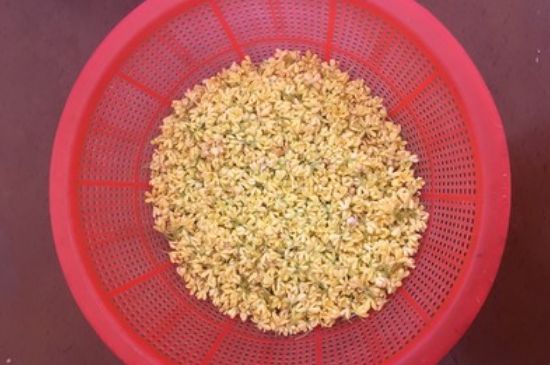 干桂花茶的制作方法，怎樣自制桂花茶？