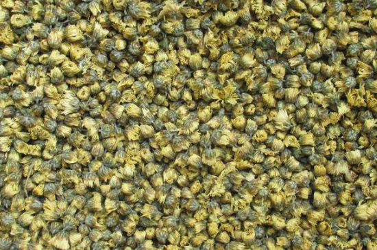 菊花茶大朵小朵有什么區(qū)別，菊花喝大朵還是小朵？