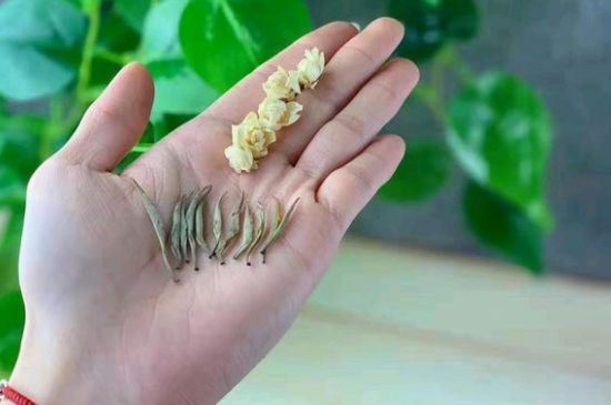 茉莉銀針口感，茉莉銀針是什么味道？