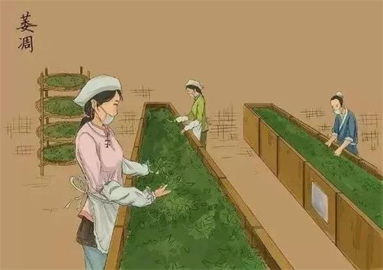 制茶八步驟，制茶工藝流程圖