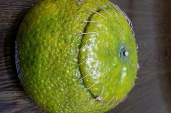 家庭自制柑普茶方法，小青柑制作9個步驟竅門（圖片）