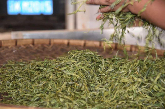 炒青綠茶與綠茶的區(qū)別，烘青和炒青哪個(gè)好喝？