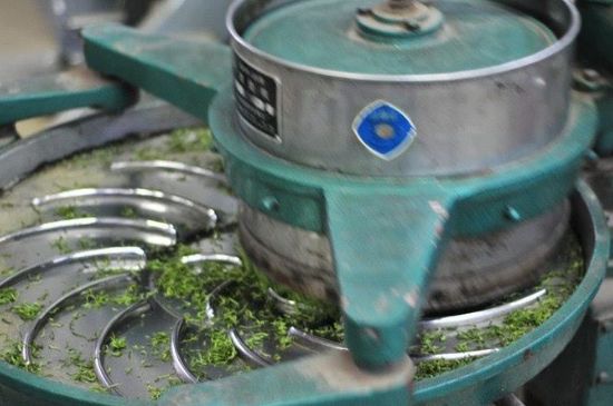 武夷巖茶的初制、精制加工工藝詳細(xì)講解
