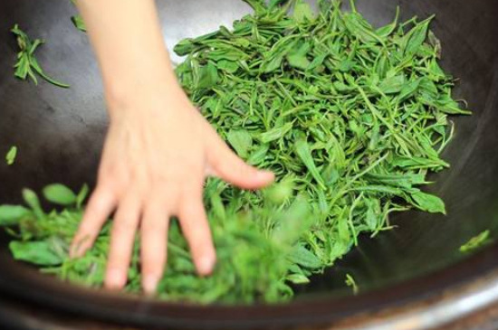 炒青綠茶與綠茶的區(qū)別，烘青和炒青哪個(gè)好喝？