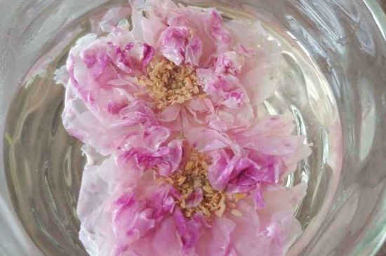 玫瑰花茶上火嗎，盲目喝玫瑰花茶易上火