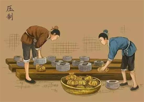 制茶八步驟，制茶工藝流程圖