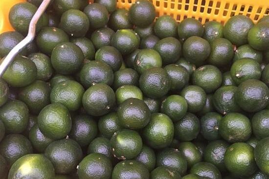 家庭自制柑普茶方法，小青柑制作9個步驟竅門（圖片）