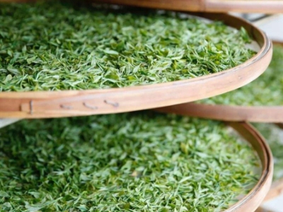 云南八大茶系分別是哪些，都是什么名字