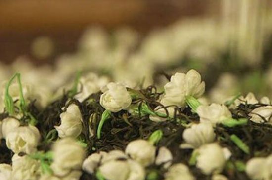 蒸茶器可以蒸花茶嗎，蒸茶器能用來蒸茉莉花茶嗎？