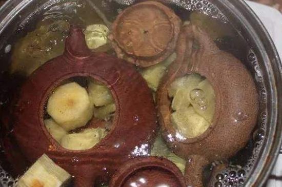 開壺放豆腐是錯誤的，新買的紫砂壺正確開壺建議