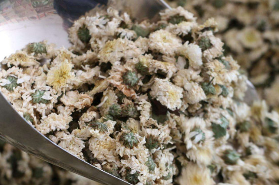 菊花茶買小朵還是大朵，泡茶用的小菊花和大菊花哪個好