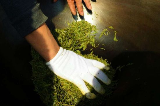 茶葉怎么炒制才香，怎樣炒茶葉更香？