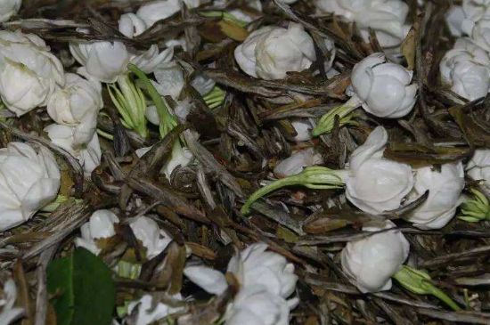 茉莉龍珠怎么做的，茉莉龍珠的制作工藝