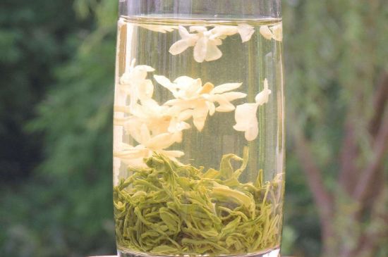 茉莉龍珠可以和什么一起泡茶，茉莉龍珠茶能加蜂蜜嗎？