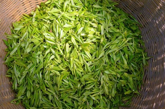 烏牛早和龍井的區(qū)別圖片，龍井43號和烏牛早茶的對比