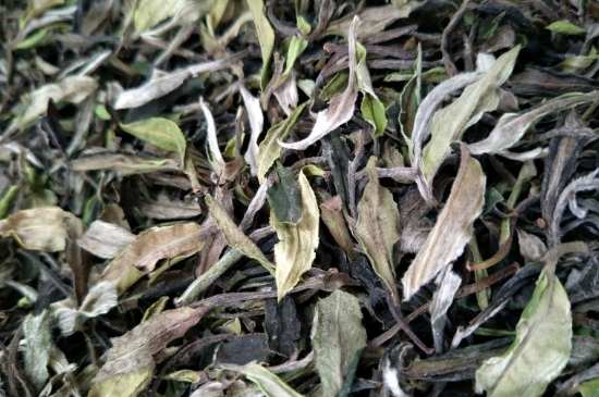 福鼎白茶貢眉和壽眉的區(qū)別，壽眉與貢眉有什么區(qū)別