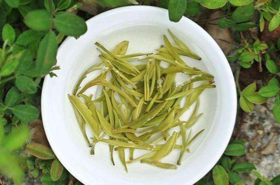 什么茶葉喝起來超級香，什么茶泡出來滿屋濃香?