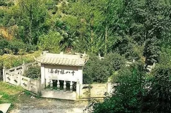 母樹大紅袍給誰喝了，為什么母樹大紅袍叫三棵六株？