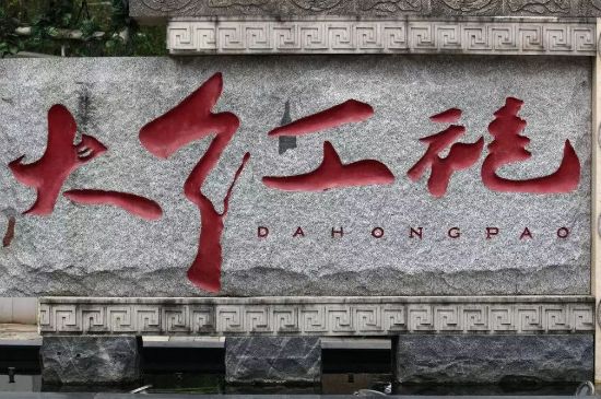 母樹大紅袍給誰喝了，為什么母樹大紅袍叫三棵六株？