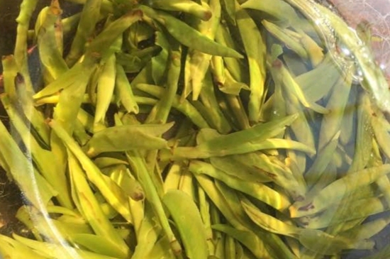 龍井是明前的好還是雨前的好，明前茶和雨前茶哪個好喝？