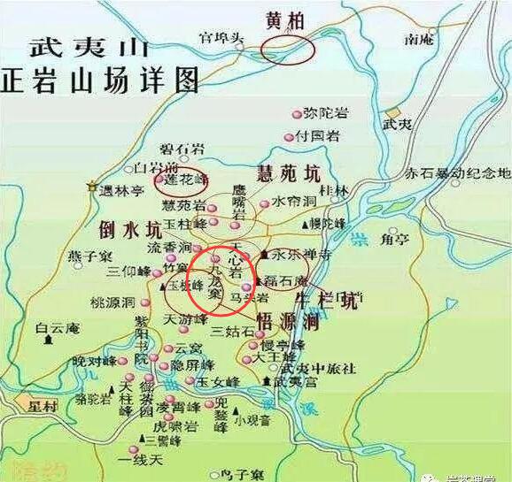 母樹大紅袍給誰喝了，為什么母樹大紅袍叫三棵六株？