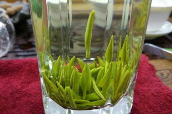 雀舌有一股青草味，雀舌為什么有青草味？