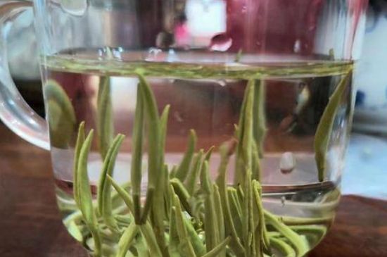 踏雪蘭妃是什么茶，踏雪蘭妃是哪里的茶葉?