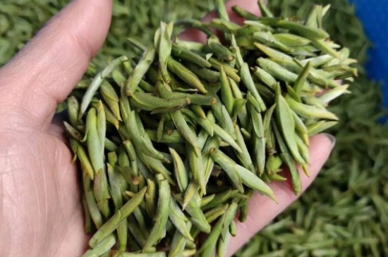 龍井茶好壞的鑒別圖片，如何區(qū)別龍井茶的好壞？