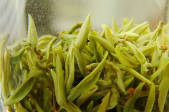 碧螺春為什么泡水渾濁，碧螺春茶葉泡水感覺很臟是混濁的