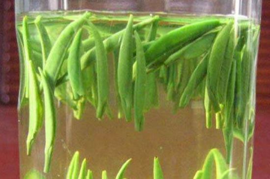 竹葉青和毛尖的區(qū)別，毛尖和竹葉青怎么分辨？