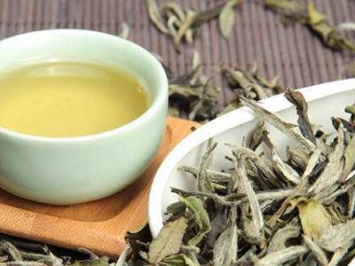 大紅袍好還是白茶好，福鼎白茶和大紅袍哪個貴？