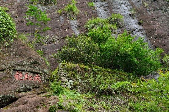 武夷巖茶大紅袍，喝起來是什么味道？