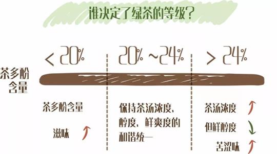 什么綠茶口味重口感濃郁，口味比較重的綠茶都有那些？