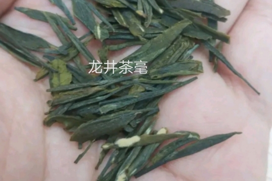 西湖龍井茶毫和發(fā)霉區(qū)別圖片，長(zhǎng)霉的龍井茶葉會(huì)是什么樣？