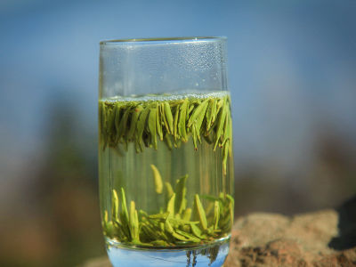 竹葉青茶怎么樣，檔次較高味道略苦價格比較貴