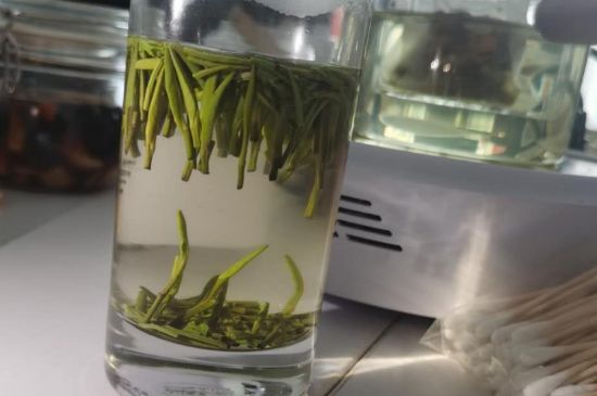 金壇雀舌算不算好茶，金壇雀舌屬于什么檔次茶葉？