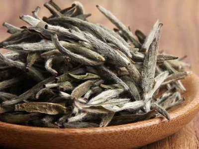 白茶有哪些品種排名，<a href=http://www.zzniy.com/fenlei/baicha/ target=_blank class=infotextkey>白茶的種類</a>大全