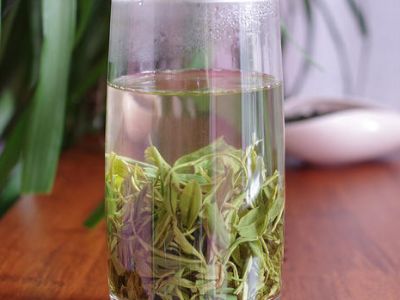 竹葉青和毛尖的區(qū)別，竹葉青和信陽(yáng)毛尖哪個(gè)好？