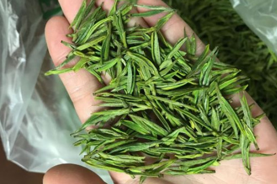 什么綠茶茶葉唇齒留香，哪個品種綠茶香氣好？