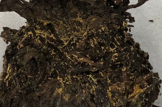 怎么知道涇渭茯茶是否變質(zhì)，茯磚茶金花和發(fā)霉的區(qū)別