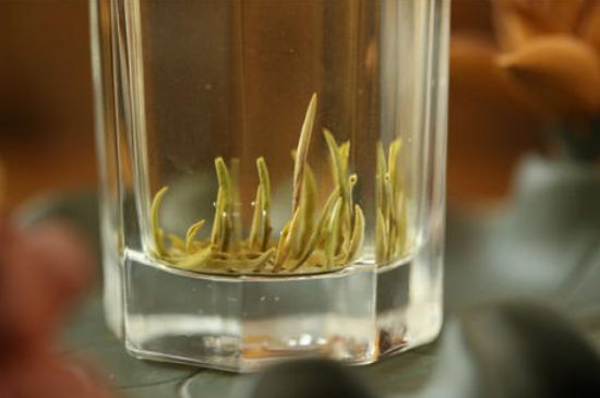 踏雪蘭妃是什么茶，踏雪蘭妃是哪里的茶葉?