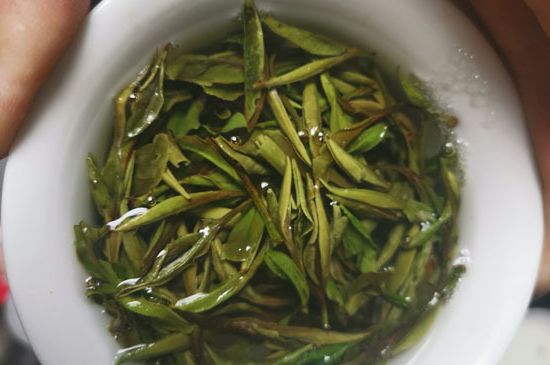 什么人不能喝白茶，白茶不宜什么人喝？