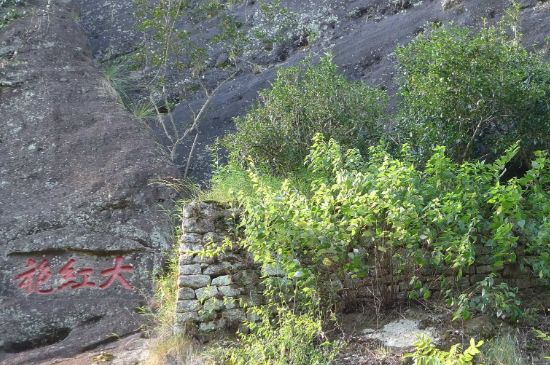 母樹大紅袍給誰喝了，為什么母樹大紅袍叫三棵六株？